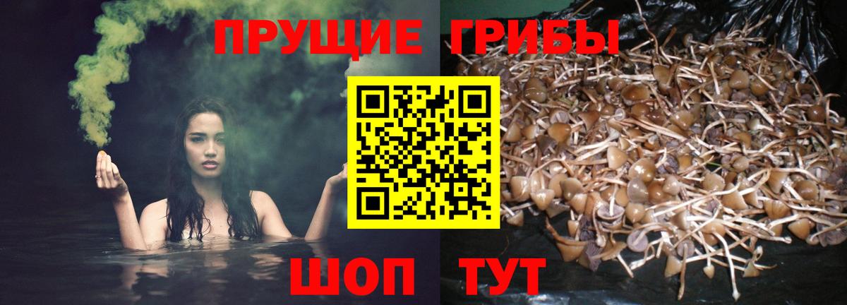 Галлюциногенные грибы Magic Shrooms Светлоград